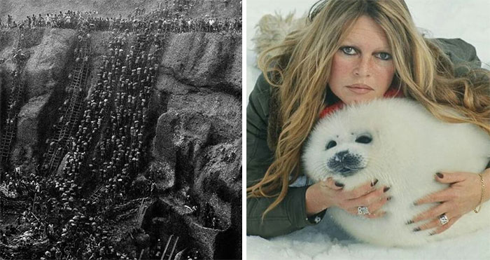 50 Images Rarely Seen In History Books, Courtesy Of This FB Page