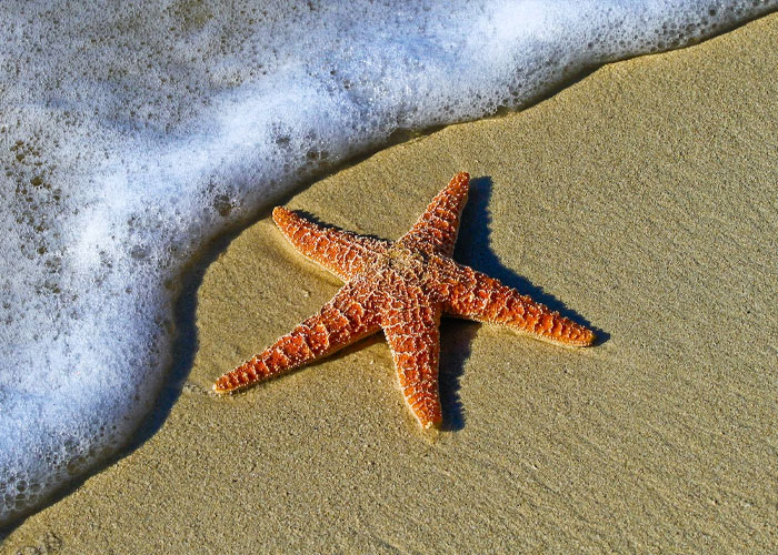 A Netizen Wanted To Hear Some Creepy Facts About Human Nature, The Internet Provided 40 Chilling Answers