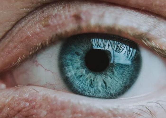 A Netizen Wanted To Hear Some Creepy Facts About Human Nature, The Internet Provided 40 Chilling Answers