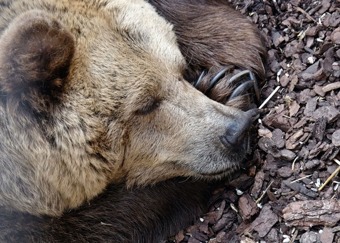 A Netizen Wanted To Hear Some Creepy Facts About Human Nature, The Internet Provided 40 Chilling Answers