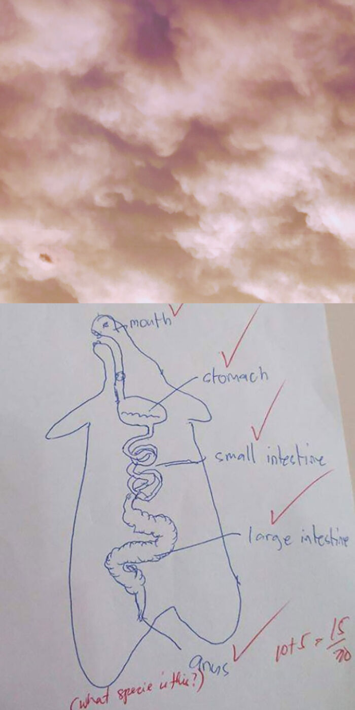 The Top Image Is My Lock Screen And The Bottom Image Is My Home Screen Cropped From A Meme(I Love Health Stuff 😂)