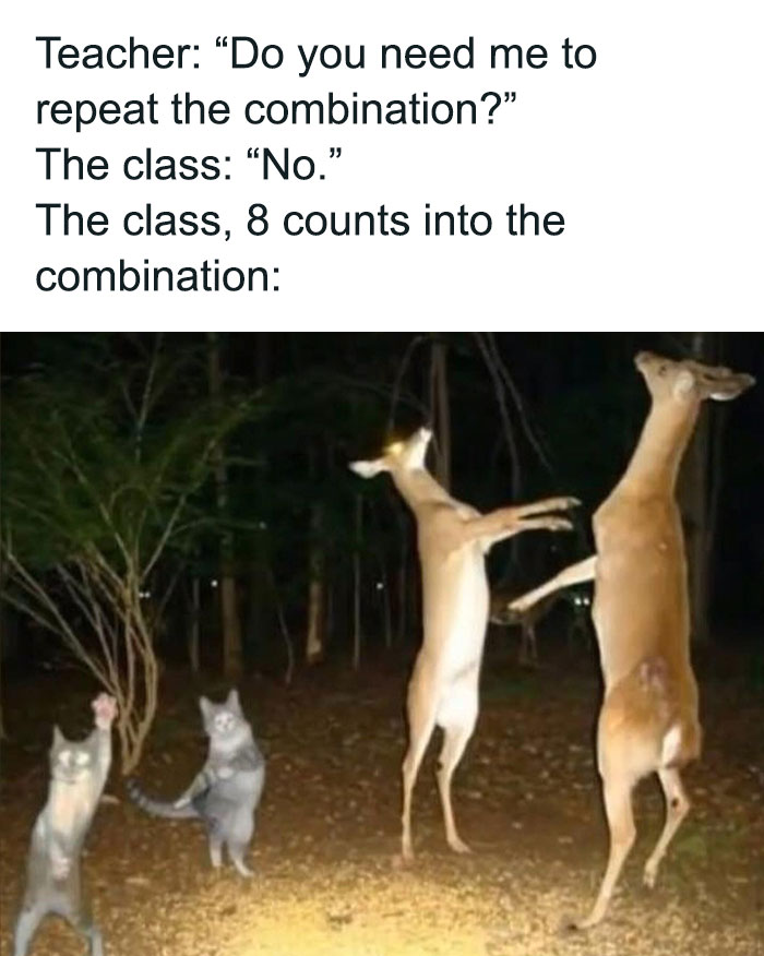 Animals dancing humorously in the dark, featuring lively deer and cats, in a meme about dance combinations.