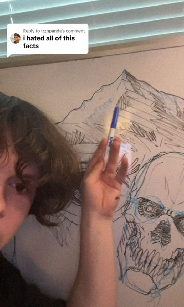 Disturbing-Facts-Tiktok-Criminal-Acttv