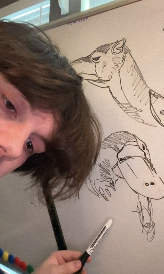 Disturbing-Facts-Tiktok-Criminal-Acttv