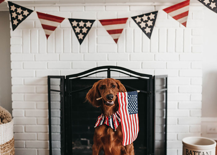 Europeans Call Out 50 "Hard Truths" That They Think Americans Are Not Yet Ready To Hear