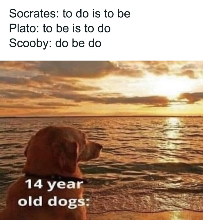 scooby do meme