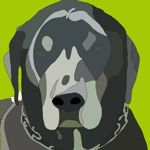 raymondella2001 avatar