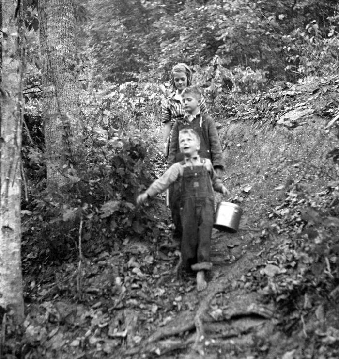 Children Walking Along A Dirt Path Through A Wooded Area, 1940