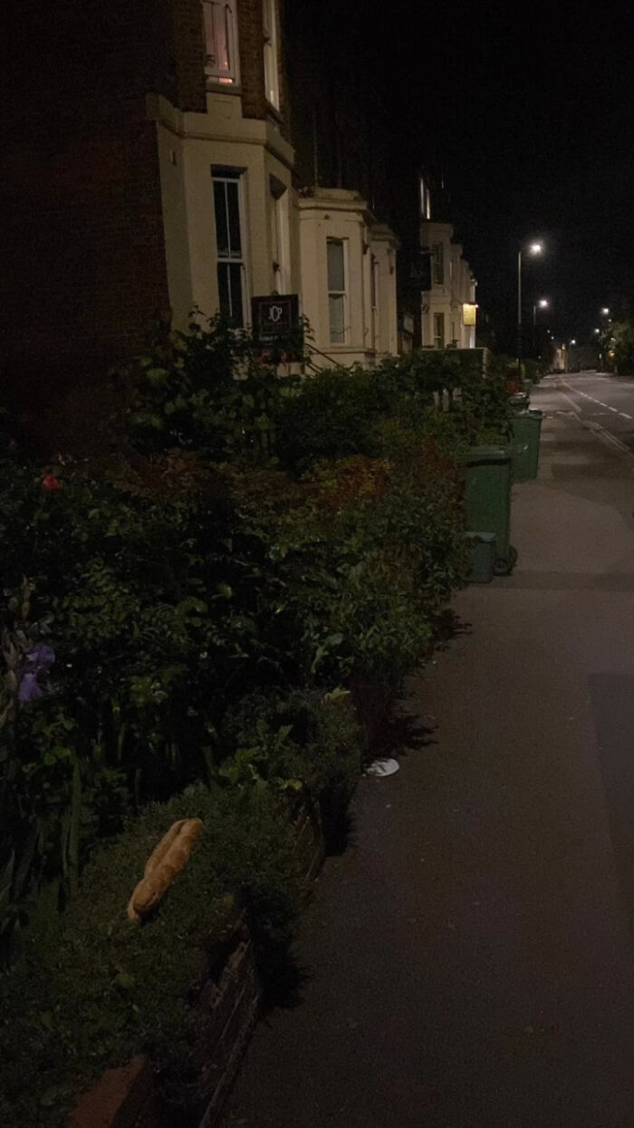 Finding-Baguettes-In-Unusual-Places