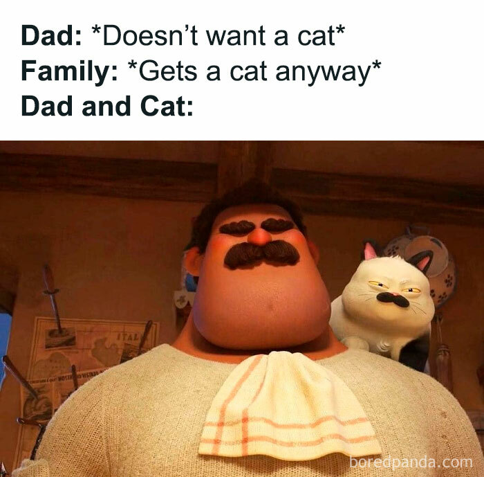 Cartoon dad and grumpy cat side by side in a funny meme about family and cats.