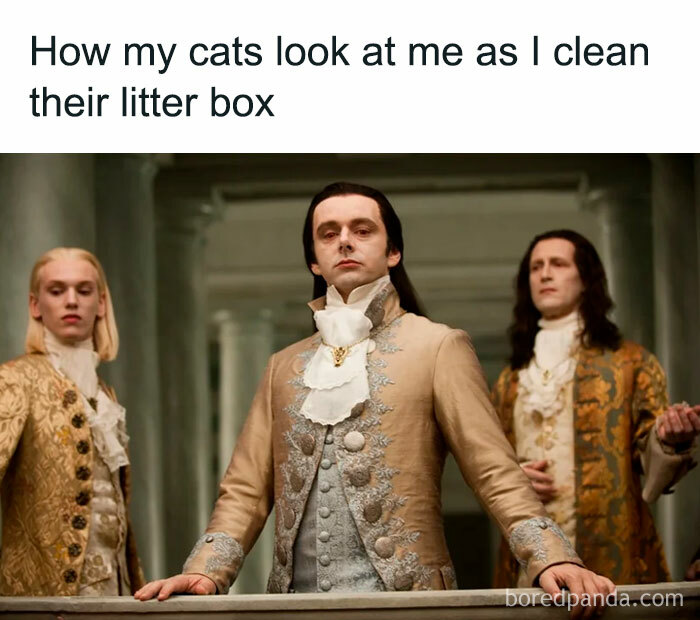 People in historical costumes with amused expressions, illustrating funny and relatable cat meme theme.