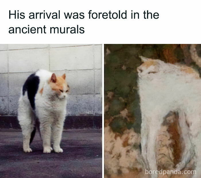 Funny and relatable cat mimicking an ancient mural, with matching posture and expression.