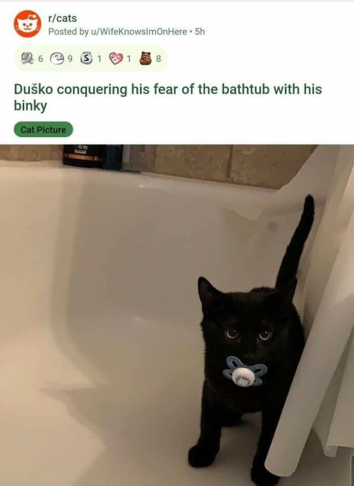 Black cat in a bathtub with a pacifier, looking adorable and funny.