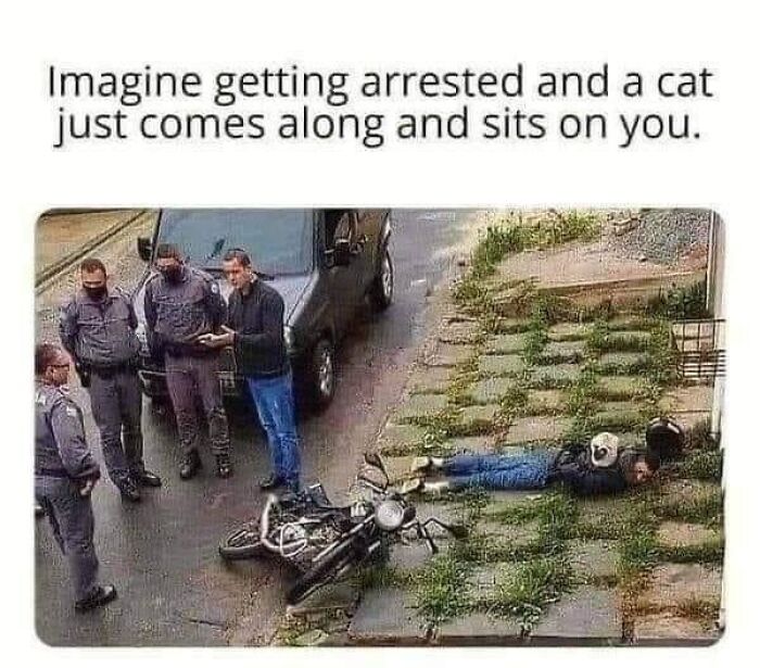 A cat sitting on a person lying on the ground near a fallen motorcycle, while officers stand nearby; funny cat photo.