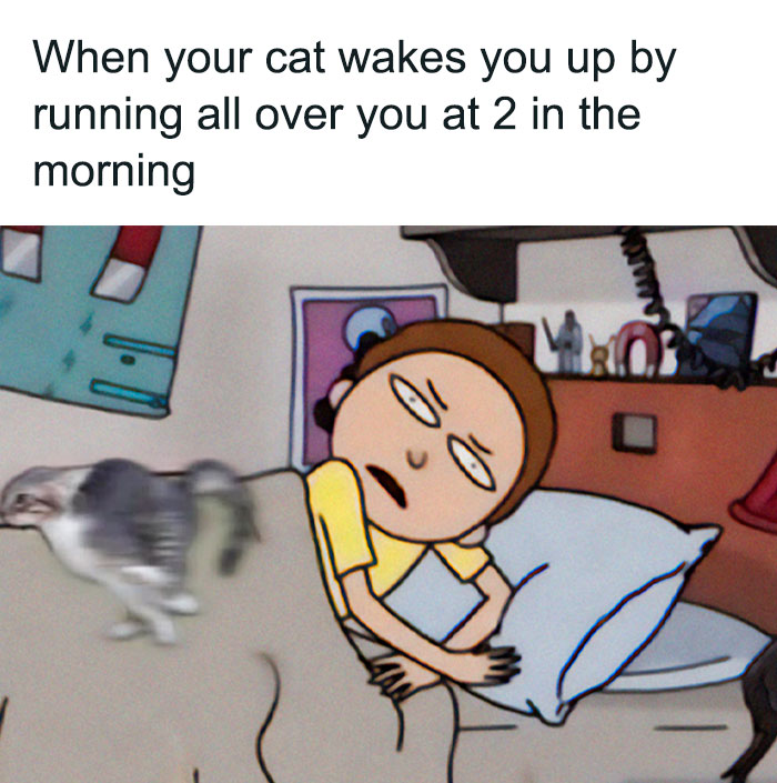 Cartoon person in bed, annoyed as a blurred cat runs over them; funny cat moment relatable for cat owners.
