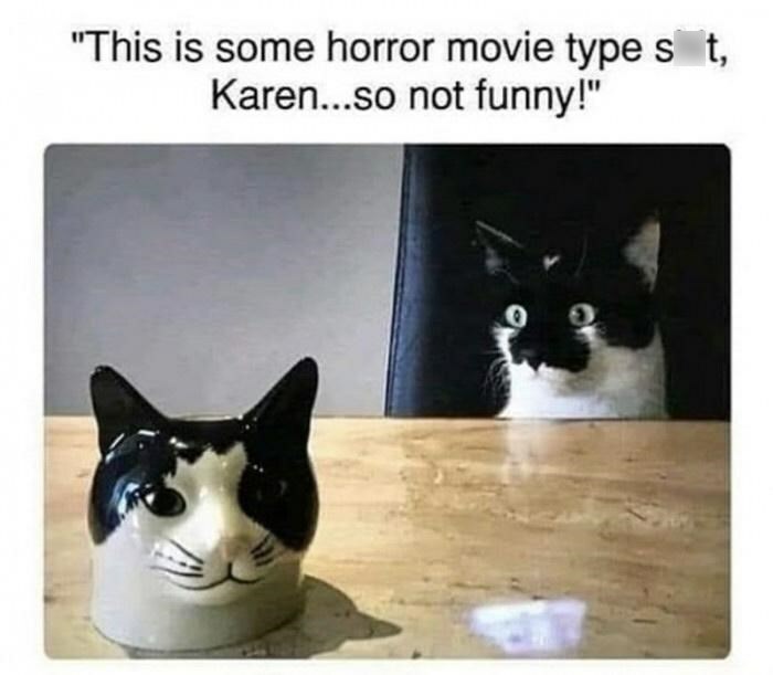 Cat staring wide-eyed at a ceramic cat head on a table, creating a funny surprise moment.