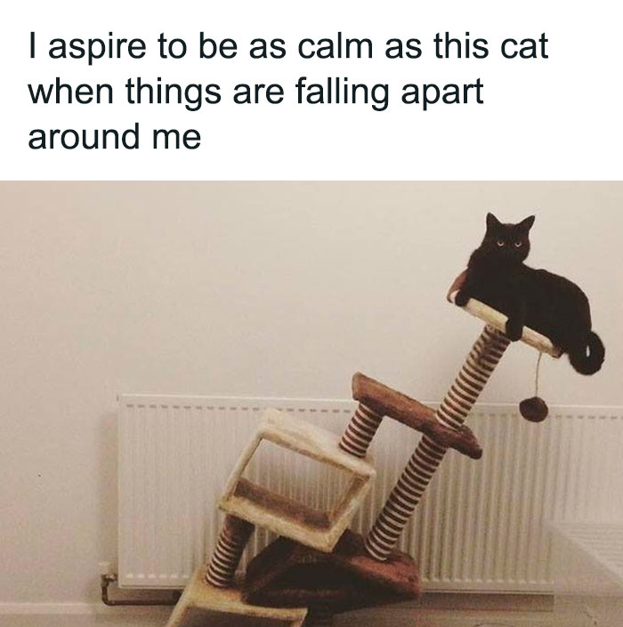 Funny cat perched calmly on a tilted cat tree, exemplifying serenity amidst chaos.