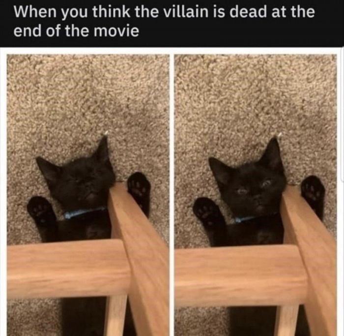 Black kitten lying on its back next to a chair, resembling a scene from a funny movie moment.