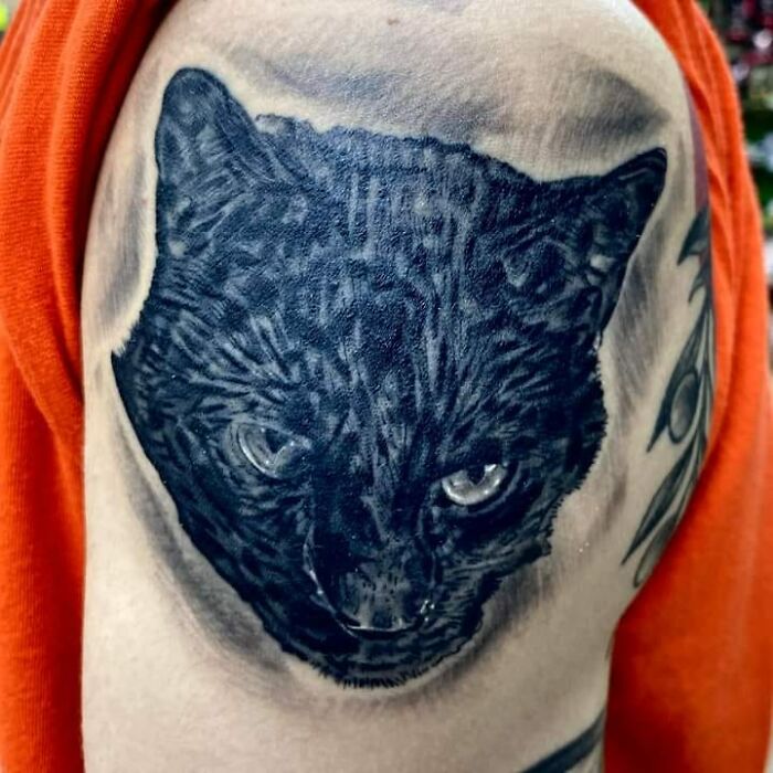 This Guy Usually Does Really Good Work. Idk What Happened Here