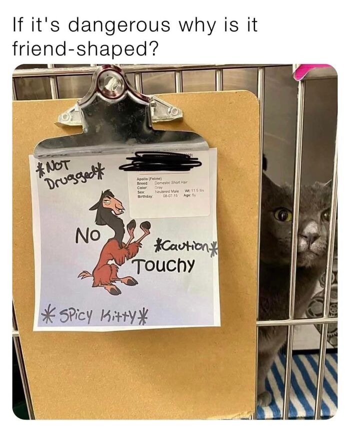 Funny-Kitty-Litterposting-Pictures