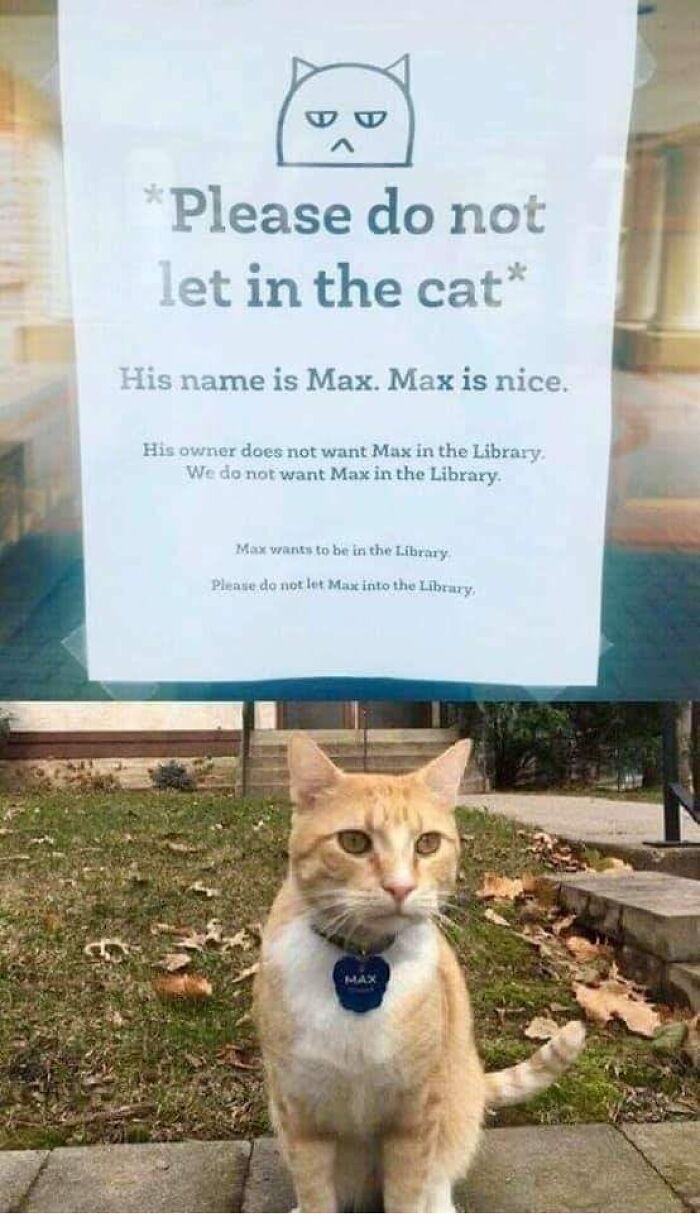 Funny-Kitty-Litterposting-Pictures