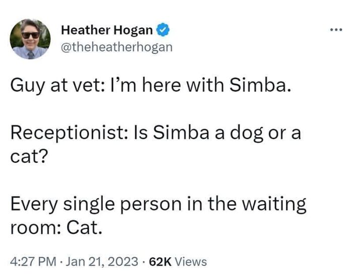 Funny-Kitty-Litterposting-Pictures