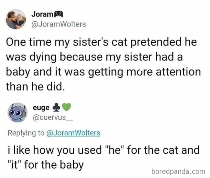 Funny-Kitty-Litterposting-Pictures