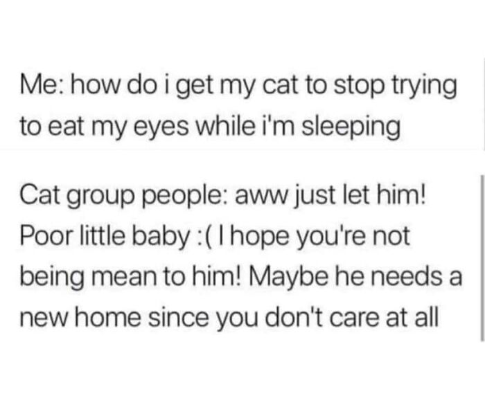 Funny-Kitty-Litterposting-Pictures