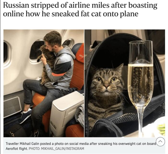 Funny-Kitty-Litterposting-Pictures