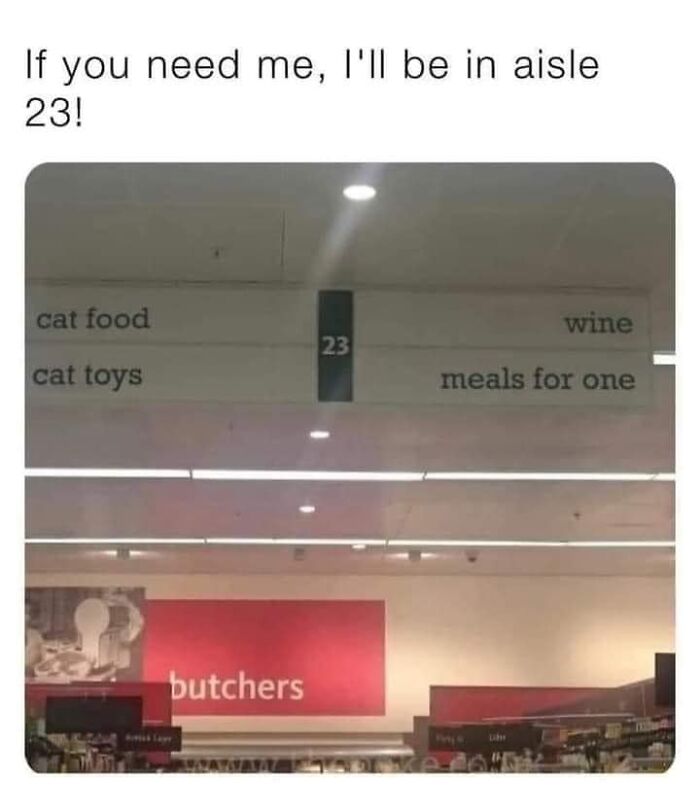 Funny-Kitty-Litterposting-Pictures