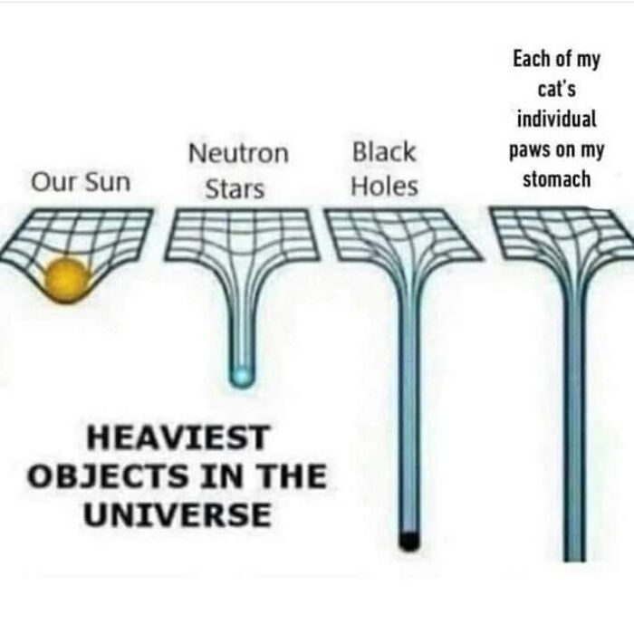 Funny-Kitty-Litterposting-Pictures