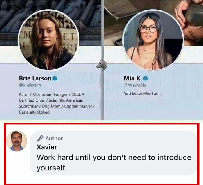 Funny-Memes-Idealist-Xavier