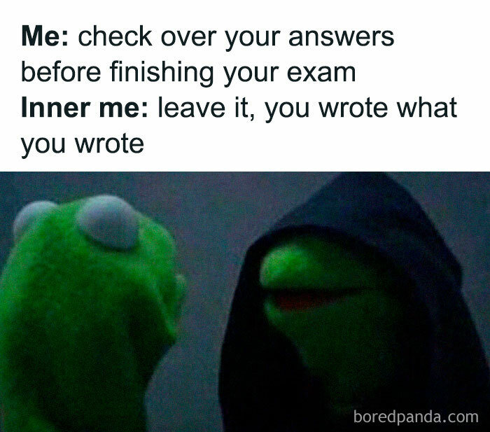 Kermit meme about checking exam answers, reflecting on educational stress.