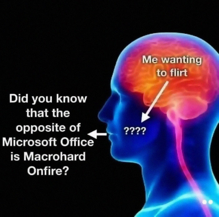 Educational memes: Brain illustration joke about Microsoft Office and flirting.