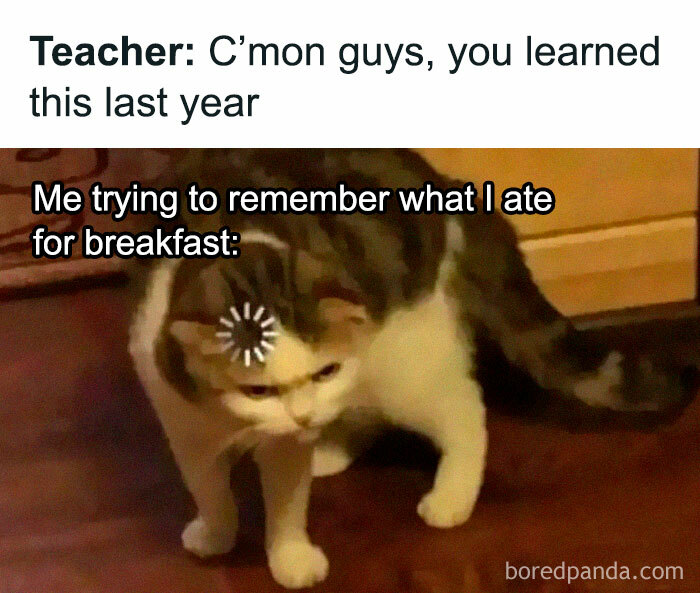 Cat meme illustrating school struggles with loading icon on its head, referencing educational challenges.