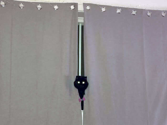 Scared The Bejesus Outta Me