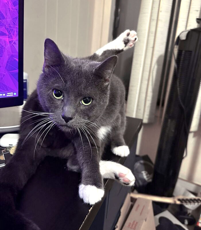 He's Just Sitting Like This Staring At Me. I'm Scared