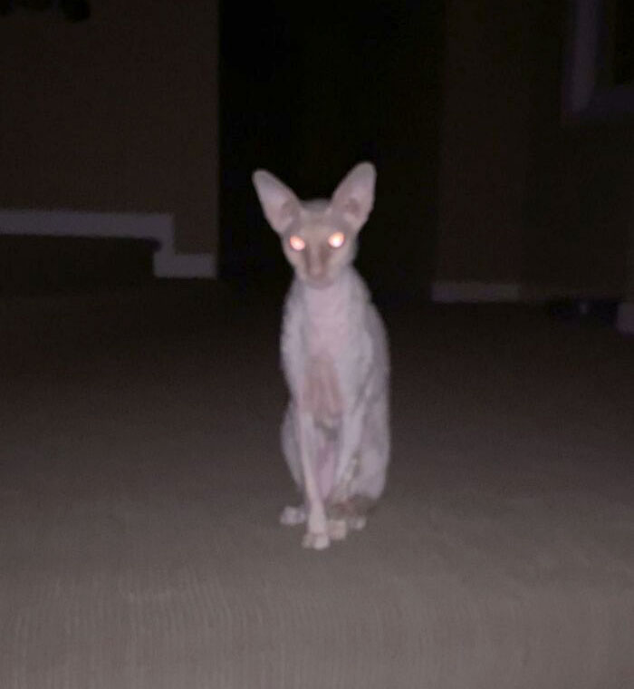 I Look Behind Me And This Is What I See. She Scares The Hell Out Of Me