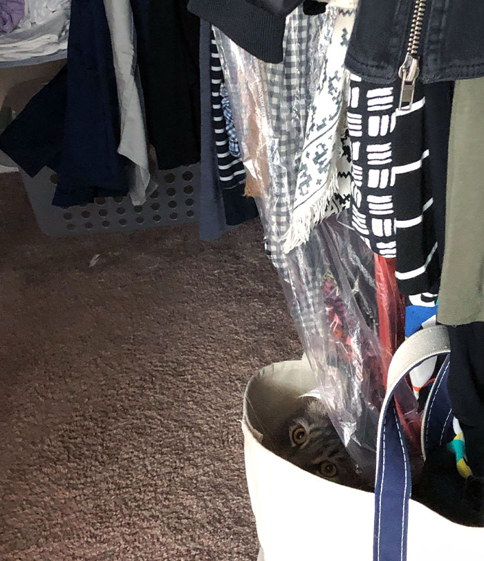 He Scared The Hell Out Of Me When I Went Into My Closet Tonight