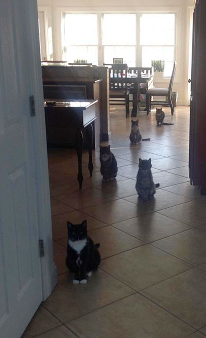 Mentioned We Were Out Of Treats On My Way Out Of The Room. Came Back To This