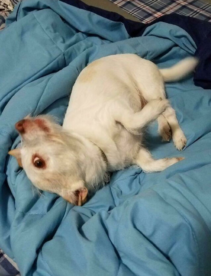 This Really Messed With My Head For A Few Minutes Before I Realized