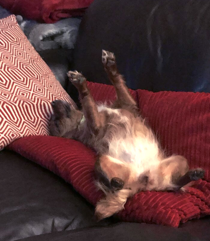 Honestly, The Way She Sleeps Scares Me Sometimes