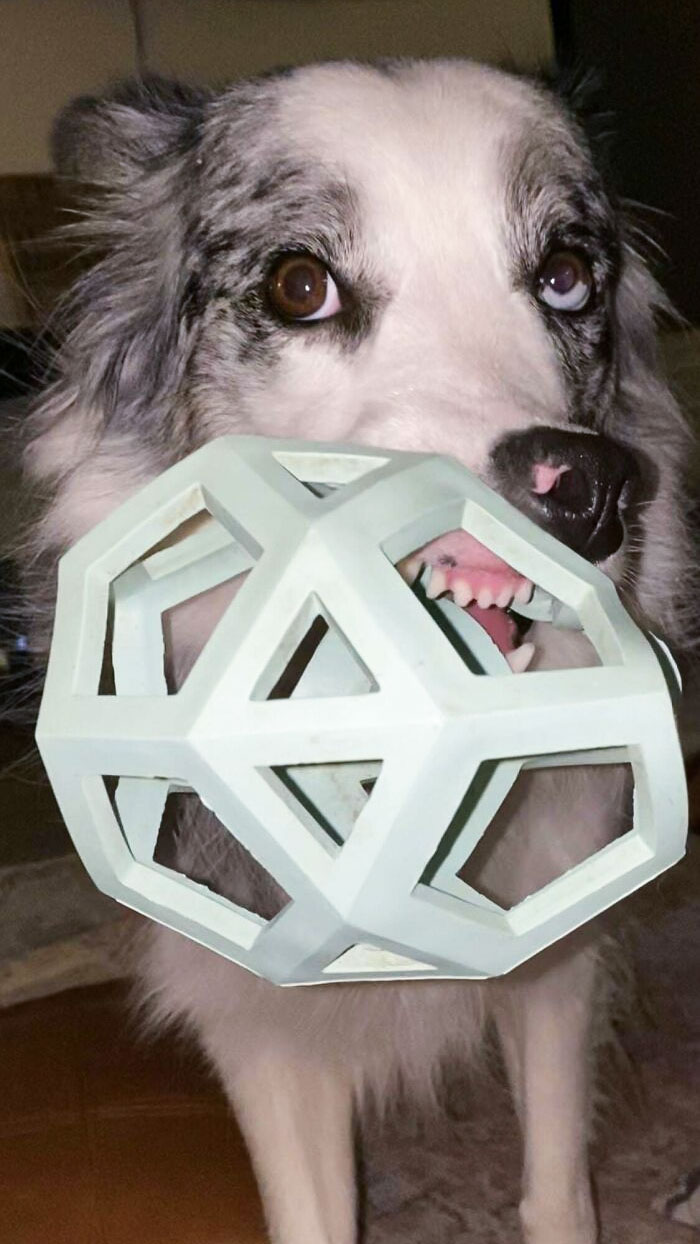 Not Frightening At All