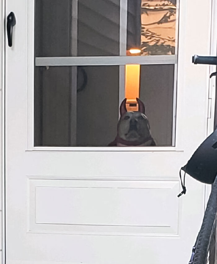 I Think My House Might Be Possessed By A Demon