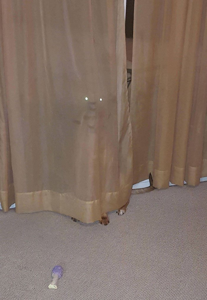 When You Get The Feeling You're Being Watched