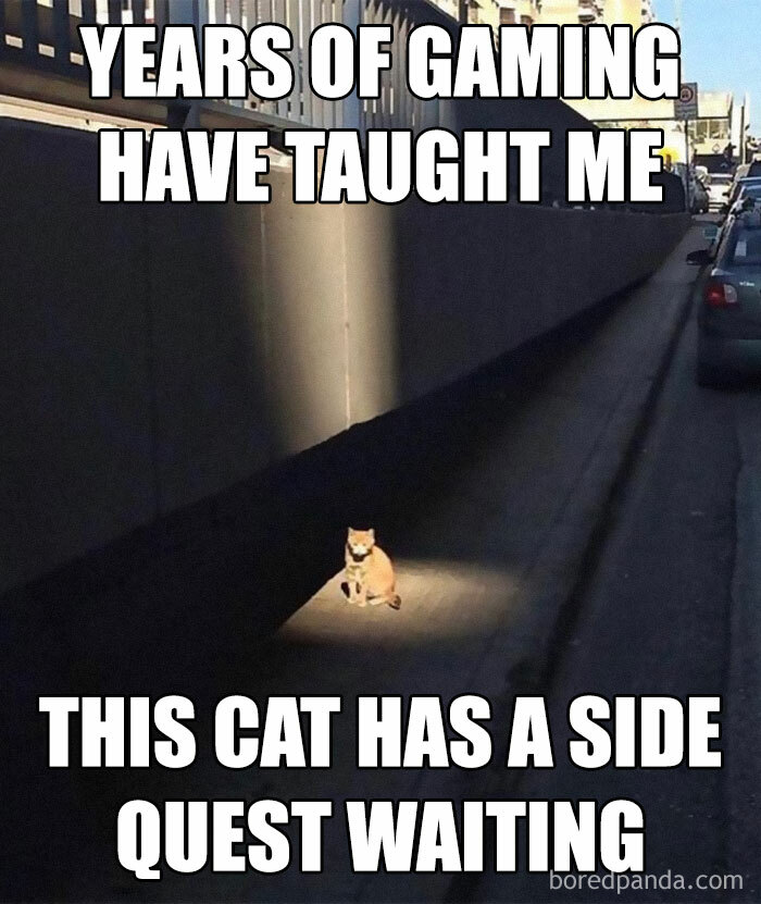 Cat sitting in spotlight on street, resembling a gaming side quest moment.