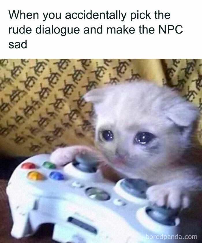 Cute kitten holding a gaming controller, looking sad, next to a meme about accidentally choosing rude dialogue in games.