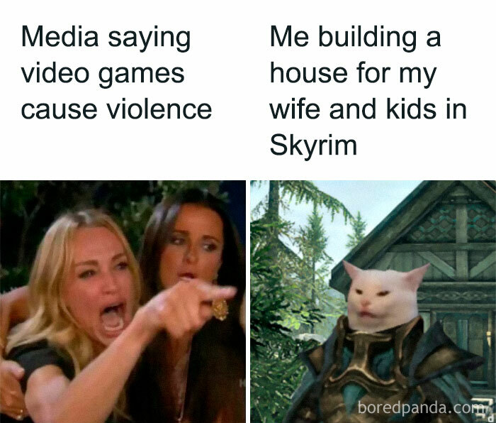 Funny gaming meme comparing media view on video games to building a family home in Skyrim.