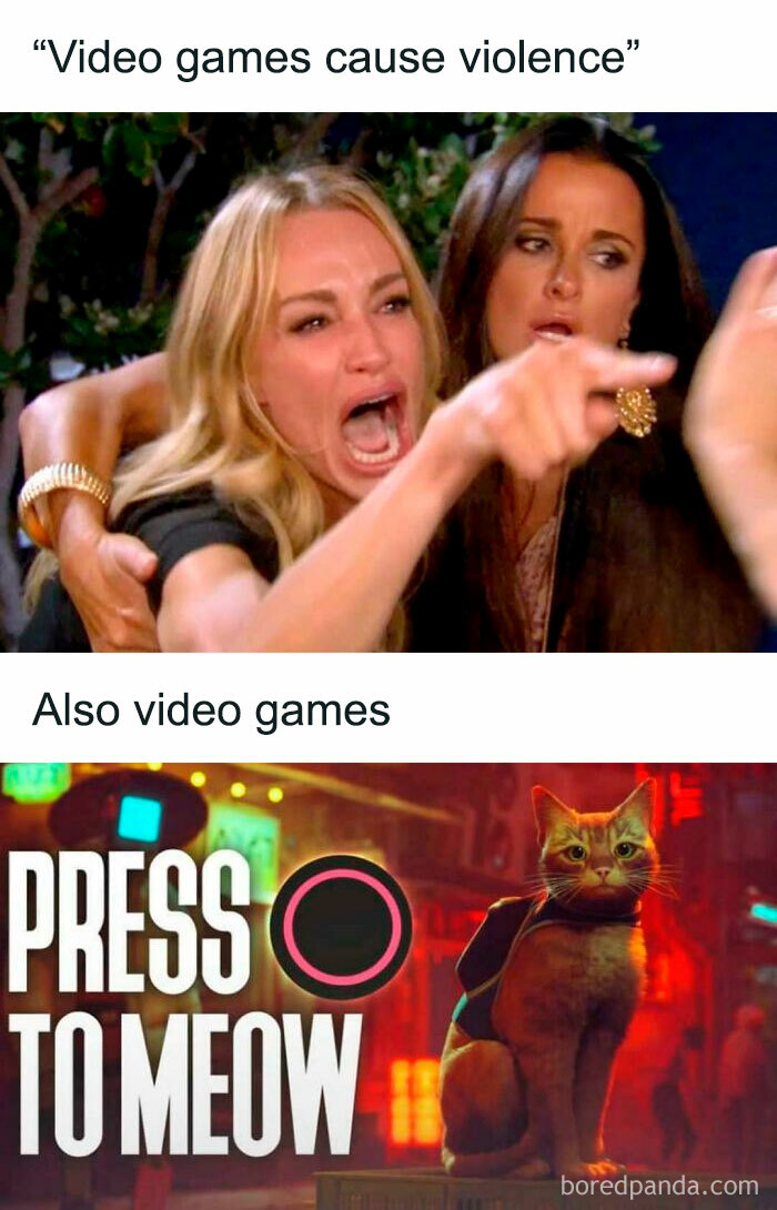 Meme contrasting video games' reputation with a funny cat moment; relatable gaming humor.