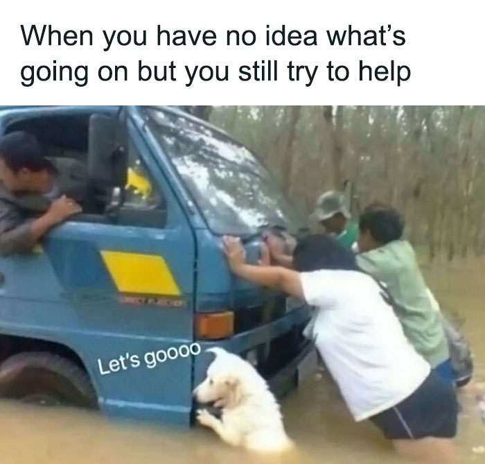 Funny-Wholesome-Bros-Memes